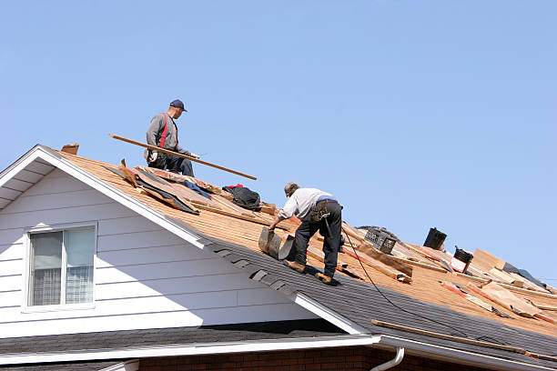 Best Slate Roofing  in Lexington, MI