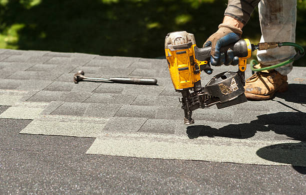 Best Asphalt Shingle Roofing  in Lexington, MI